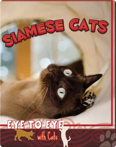 Eye To Eye With Cats: Siamese Cats book