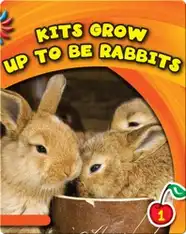 Kits Grow Up To Be Rabbits