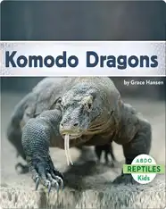 Komodo Dragons