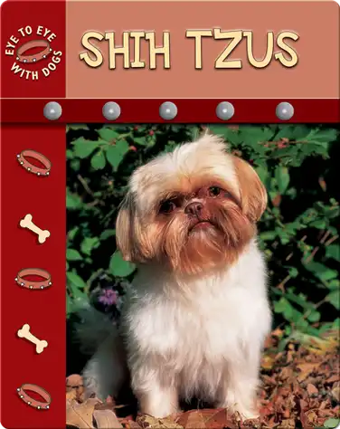 Eye To Eye With Dogs: Shih Tzu book