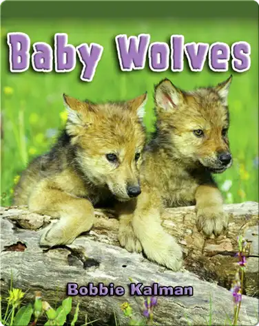 Baby Wolves book