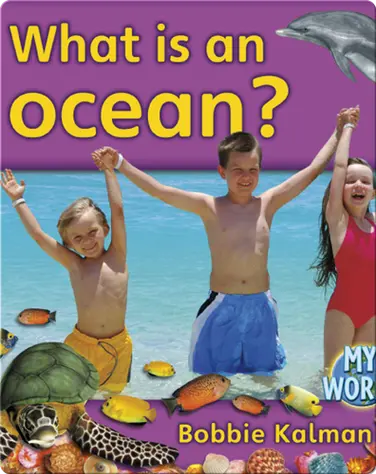 What Is An Ocean? book