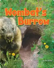 Wombat's Burrow