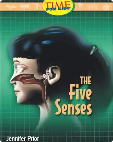 The Five Senses book