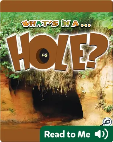 What's In A... Hole? book