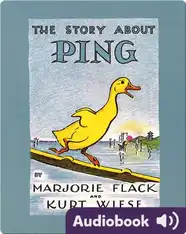 The Story About Ping
