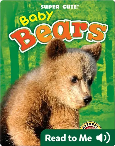 Super Cute! Baby Bears book