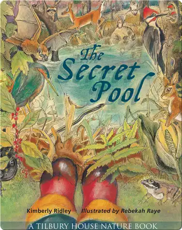 The Secret Pool book