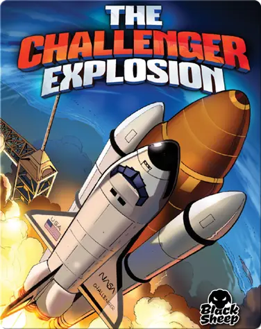 The Challenger Explosion book