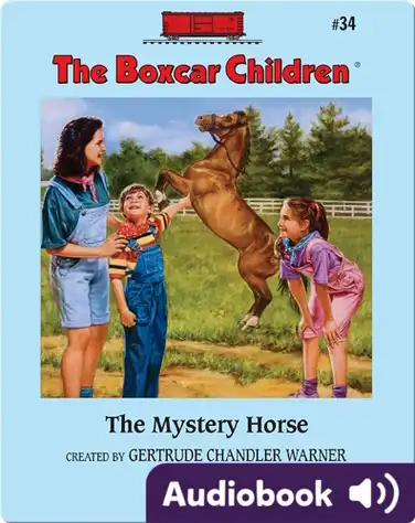 The Mystery Horse book