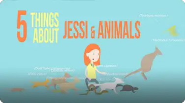 5 Things About Jessi and Animals book