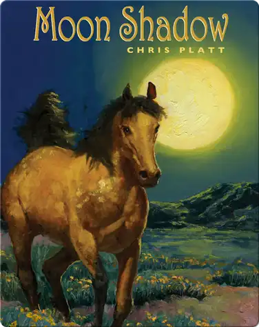 Moon Shadow book