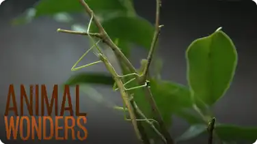 Dealing With Death book