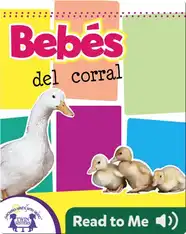 Bebés del corral