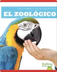 El zoológico (Zoo)
