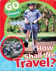 How Shall We Travel?