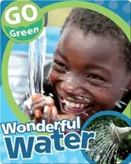 Wonderful Water