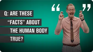Five False ‘Facts’ About the Human Body book