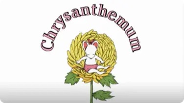 Chrysanthemum book
