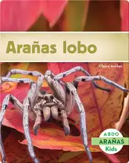 Arañas lobo