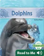 Dolphins