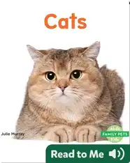 Cats