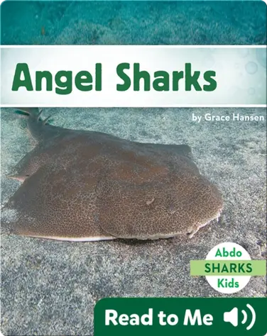 Angel Sharks book