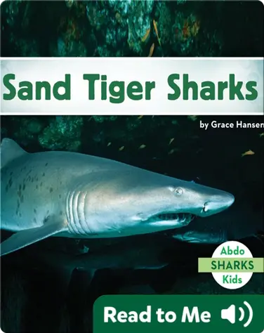 Sand Tiger Sharks book