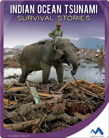 Indian Ocean Tsunami Survival Stories book