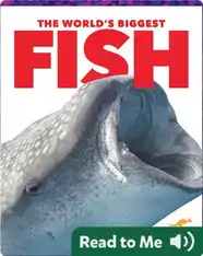 The World's Biggest Fish