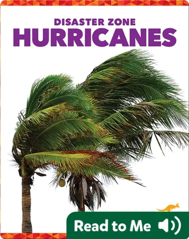 Disaster Zone: Hurricanes book