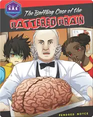 The Baffling Case of the Battered Brain