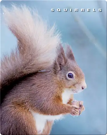 Squirrels book