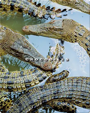 Crocodiles book