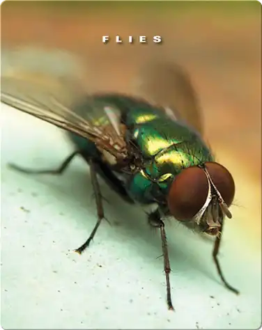 Flies book