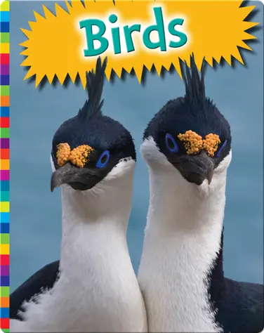 Birds book