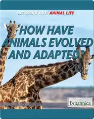How Have Animals Evolved and Adapted?