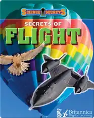 Secrets of Flight