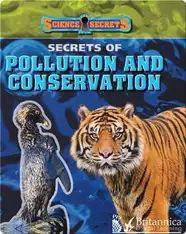 Secrets of Pollution and Conservation