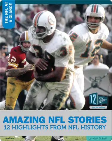 Amazing NFL Stories 12 Highlights From NFL History book