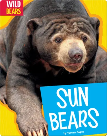 Sun Bears book