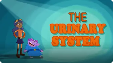 The Urinary System book