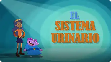 El sistema urinario book