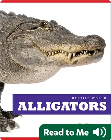 Reptile World: Alligators book