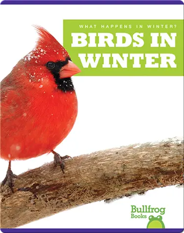 What Happens In Winter? Birds In Winter book