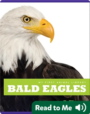 My First Animal Library: Bald Eagles book