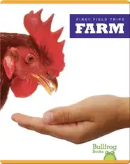 First Field Trips: Farm