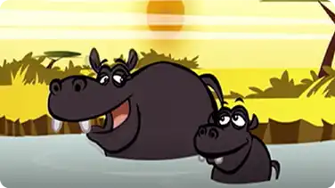 I'm a Hippo book