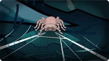 I'm a Tarantula book