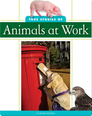 True Stories of Animal at Work book